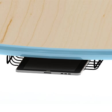 17018 Technology Basket