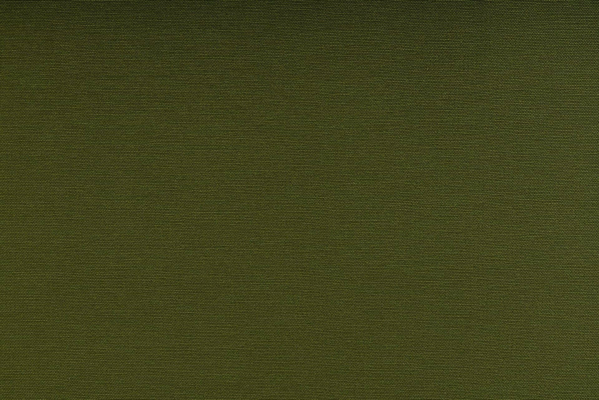 Basil