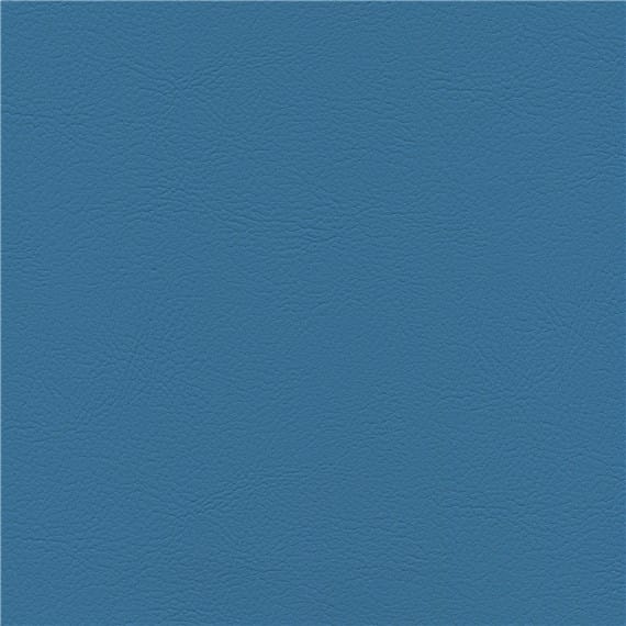 Bluejay