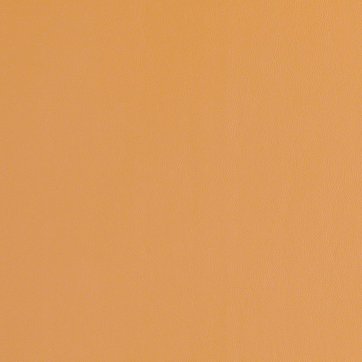 Butterscotch