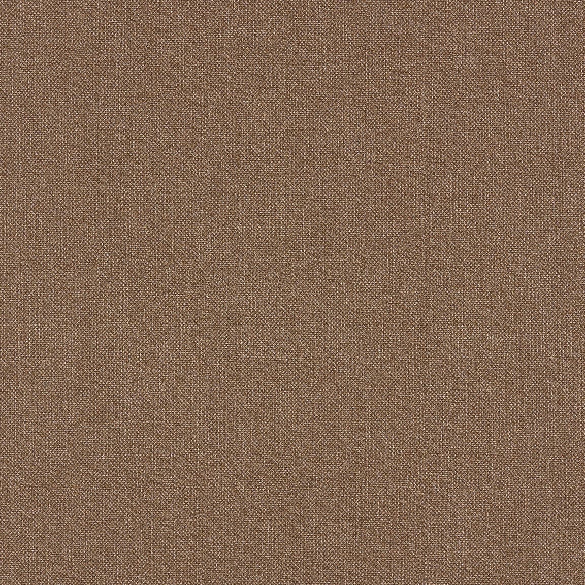 Cedar