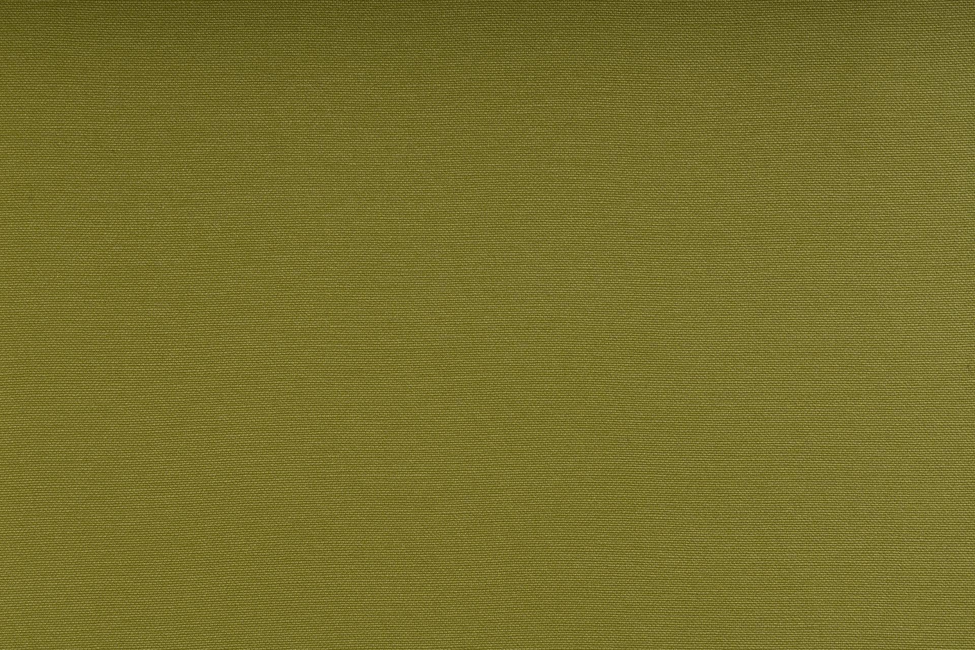 Celery