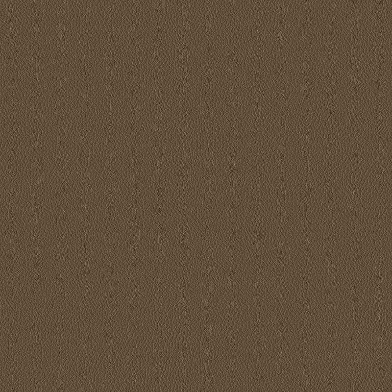 Chestnut