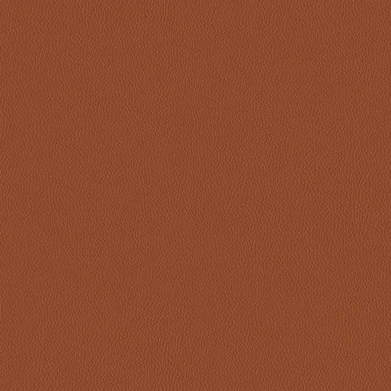 Clay