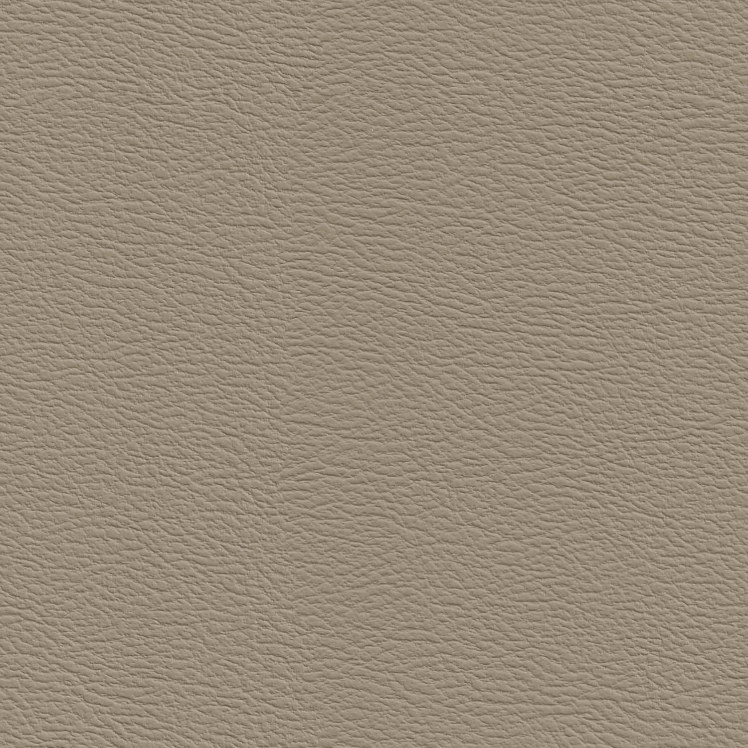 Desert Sand