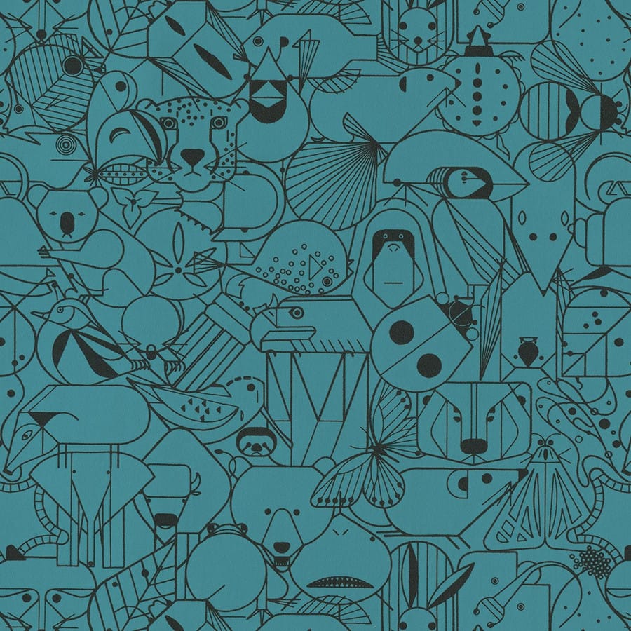 Teal Owl