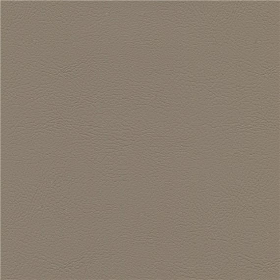 Porpoise