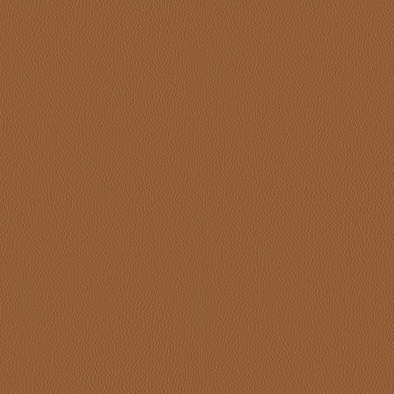 Praline