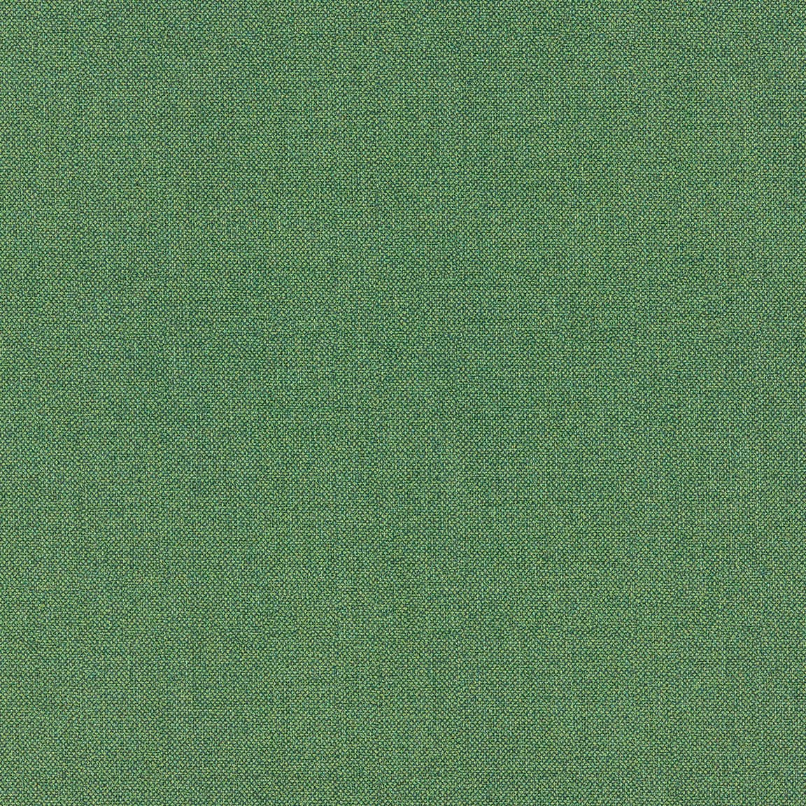 Shamrock