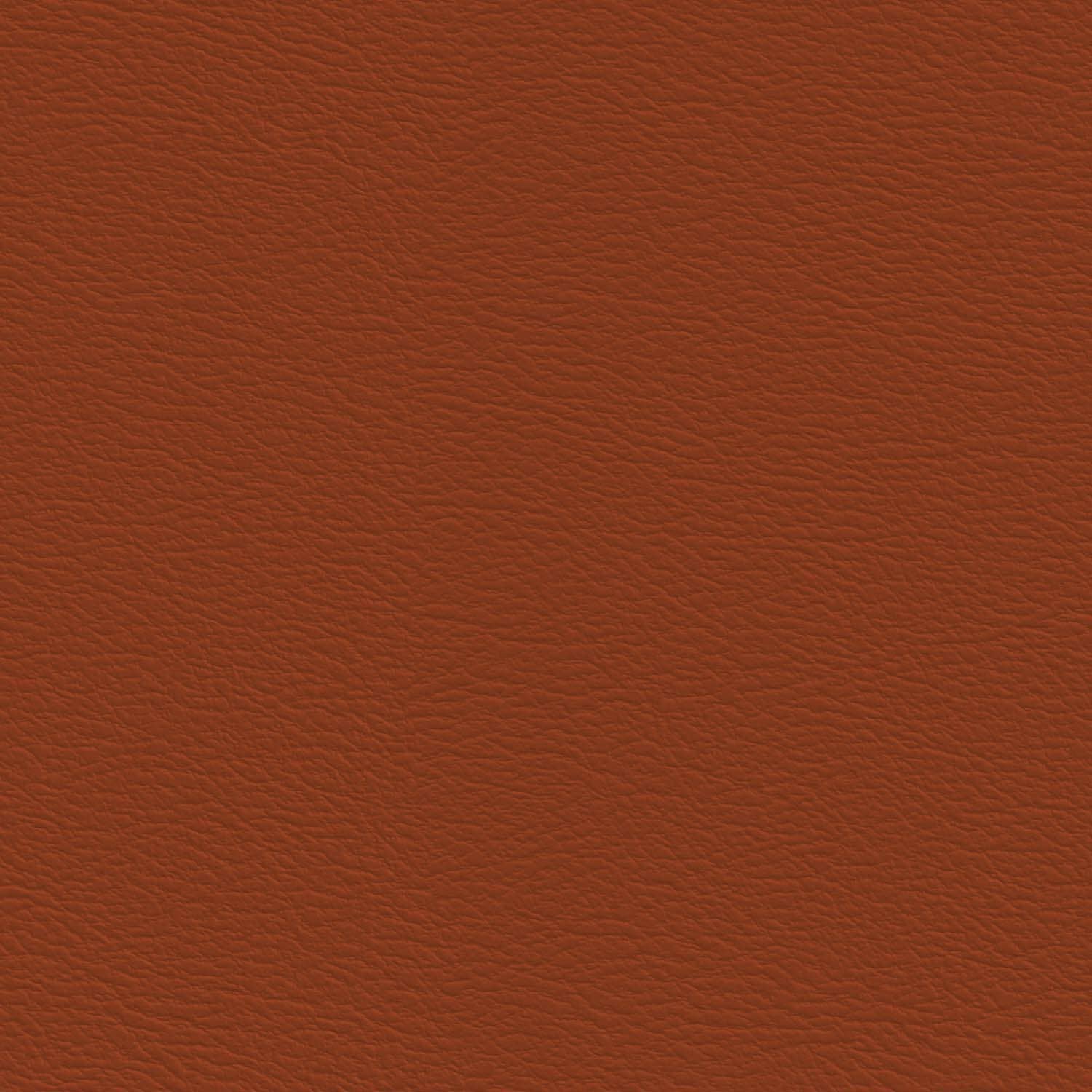 Solid Orange