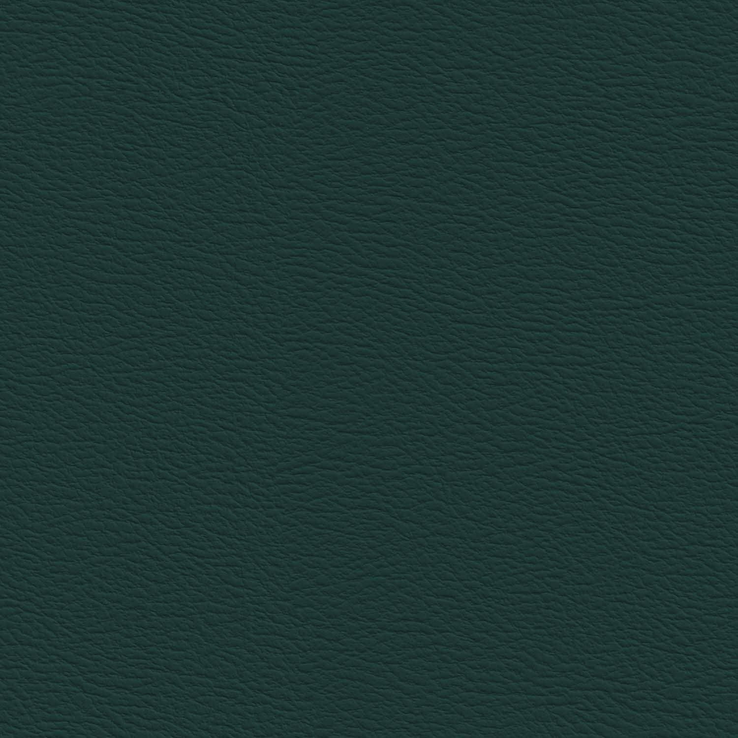 Varsity Green
