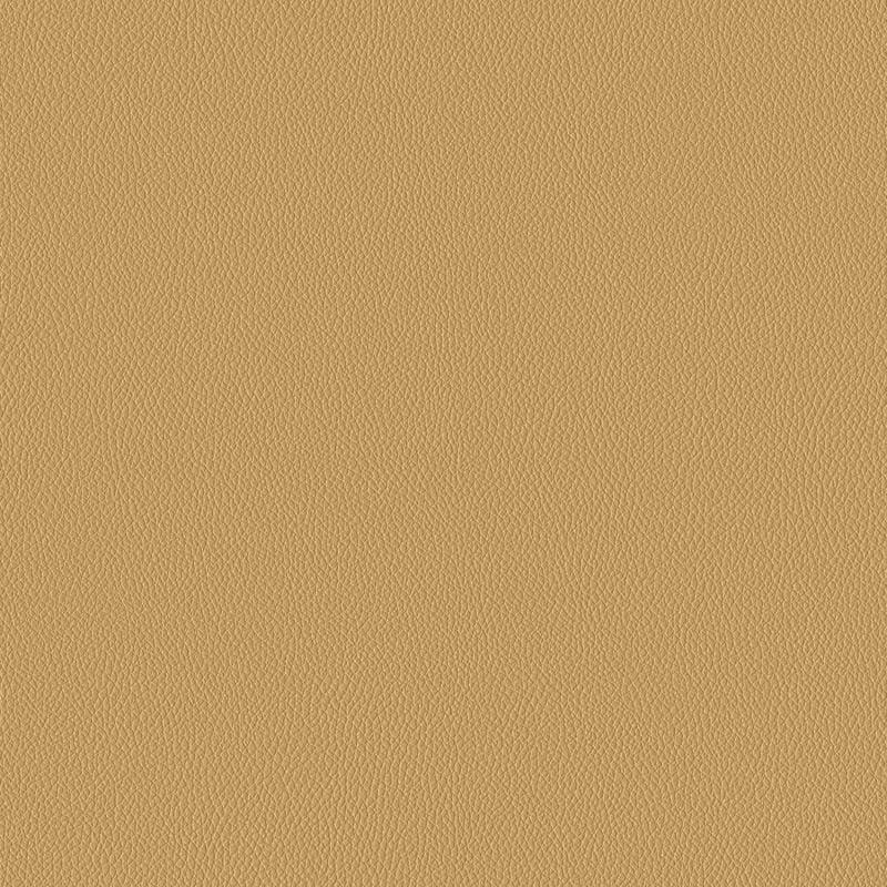 Vicuna