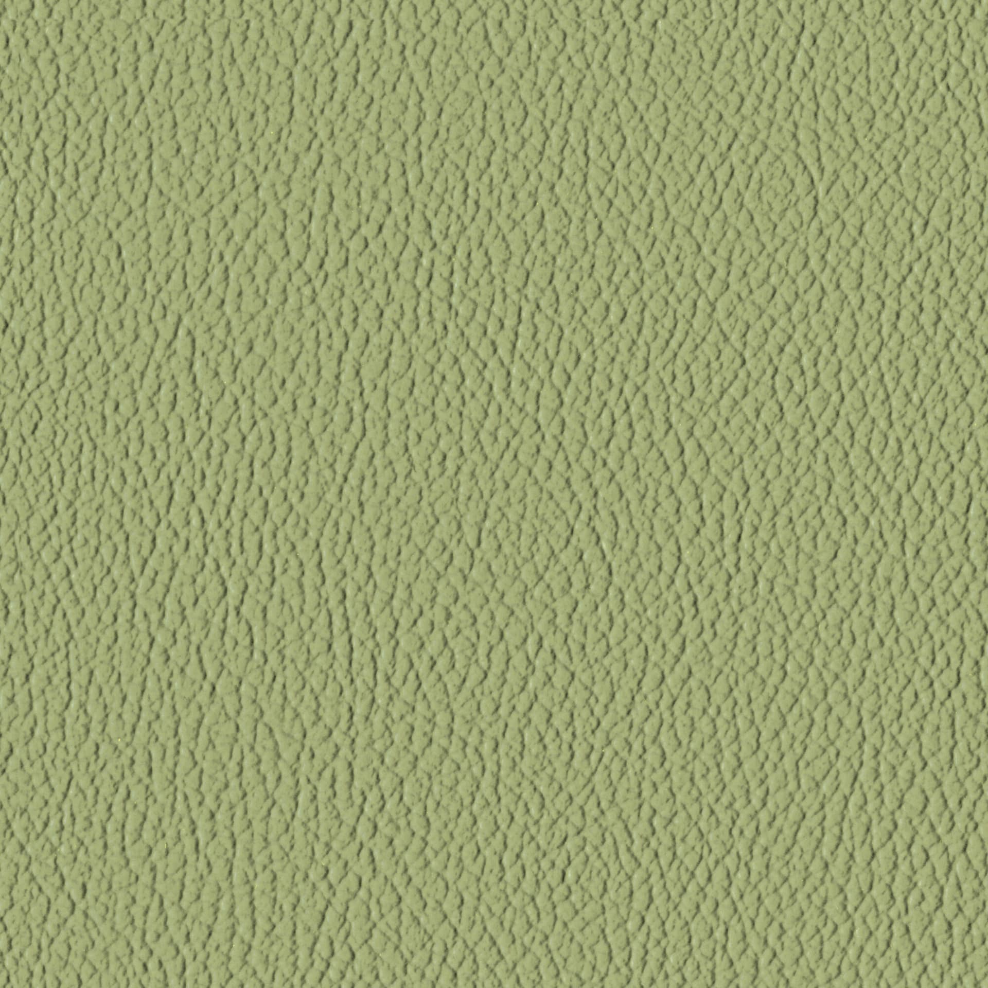 Aloe