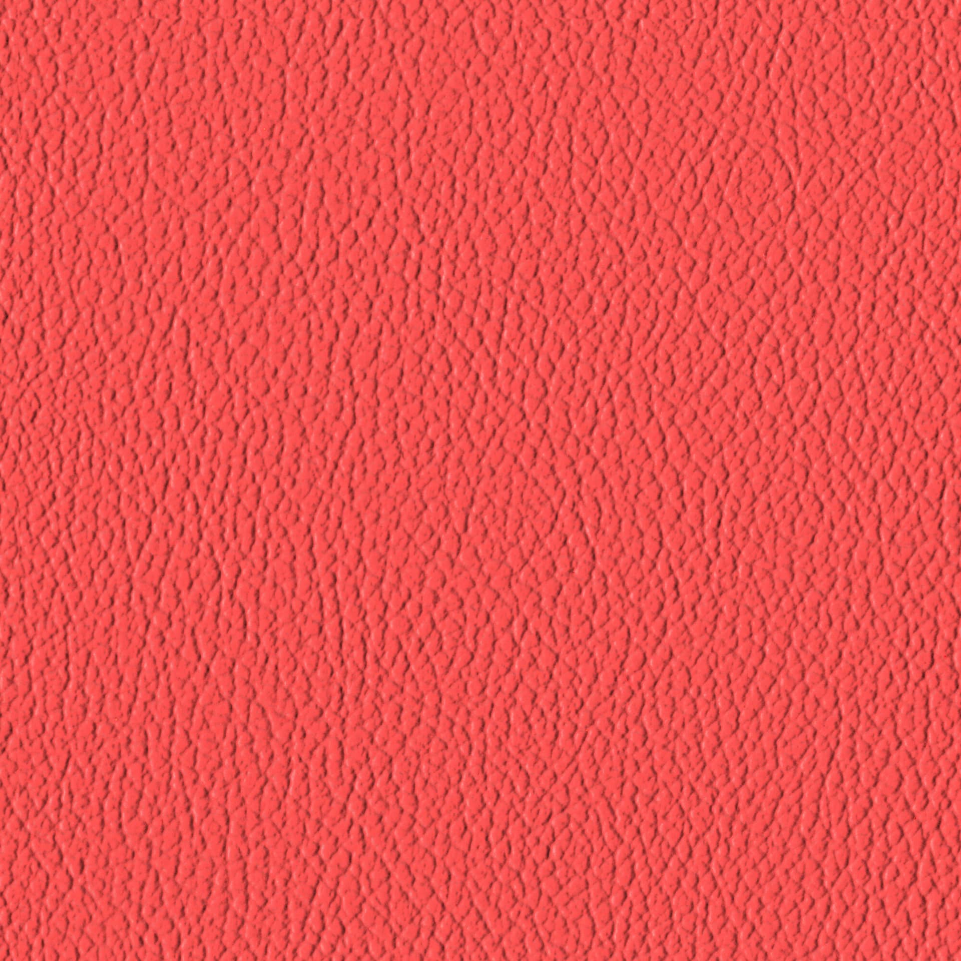 Cardinal