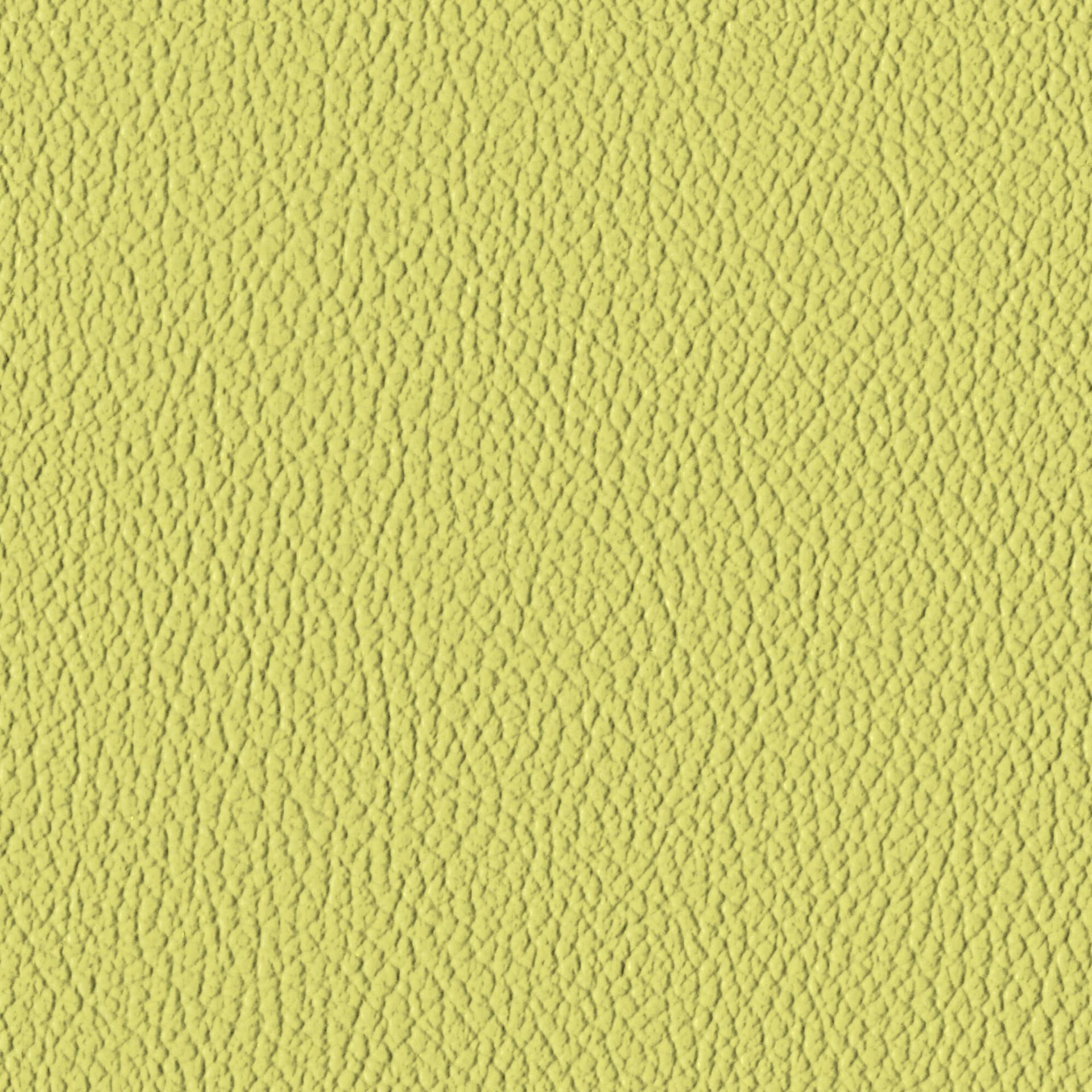 Chervil