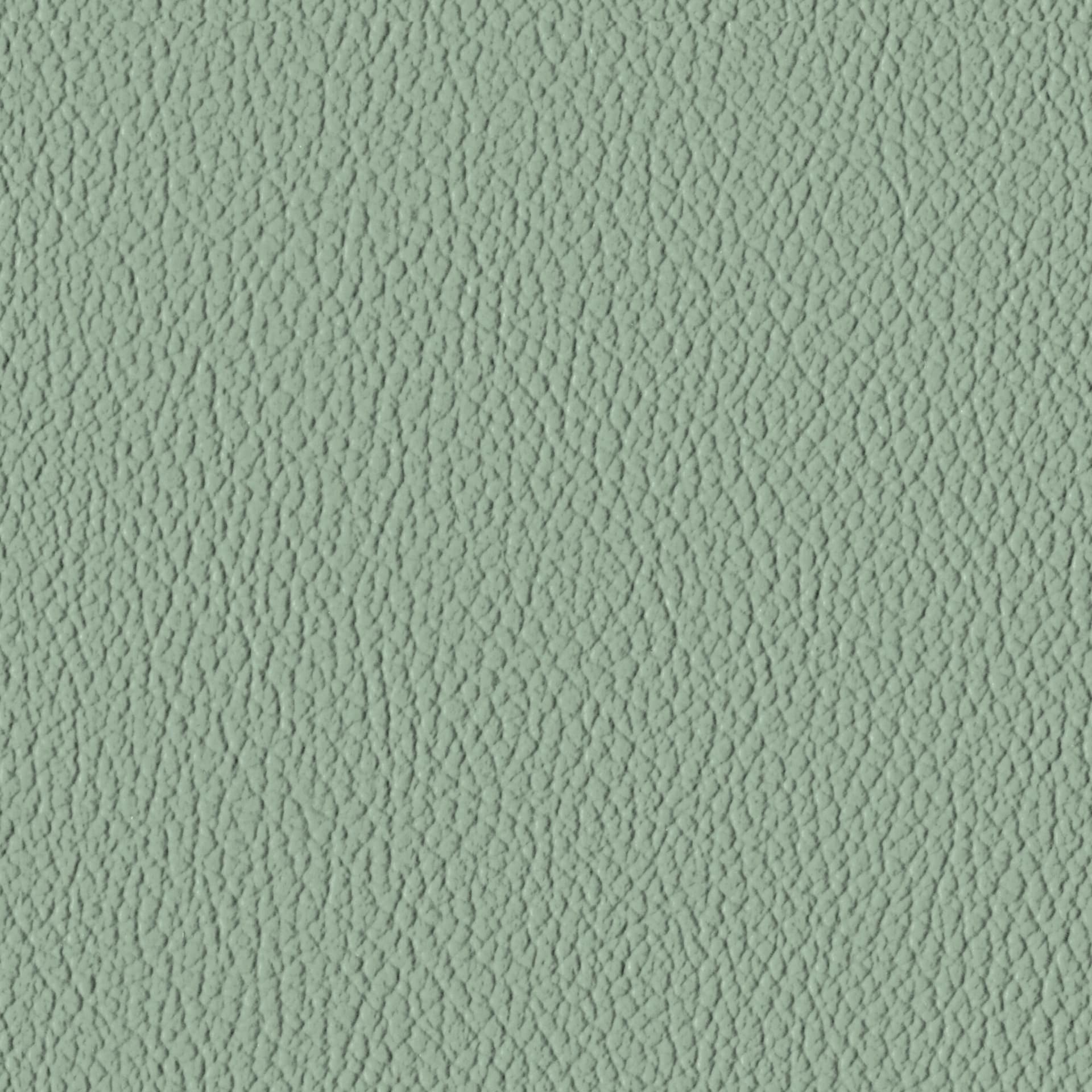 Glacier