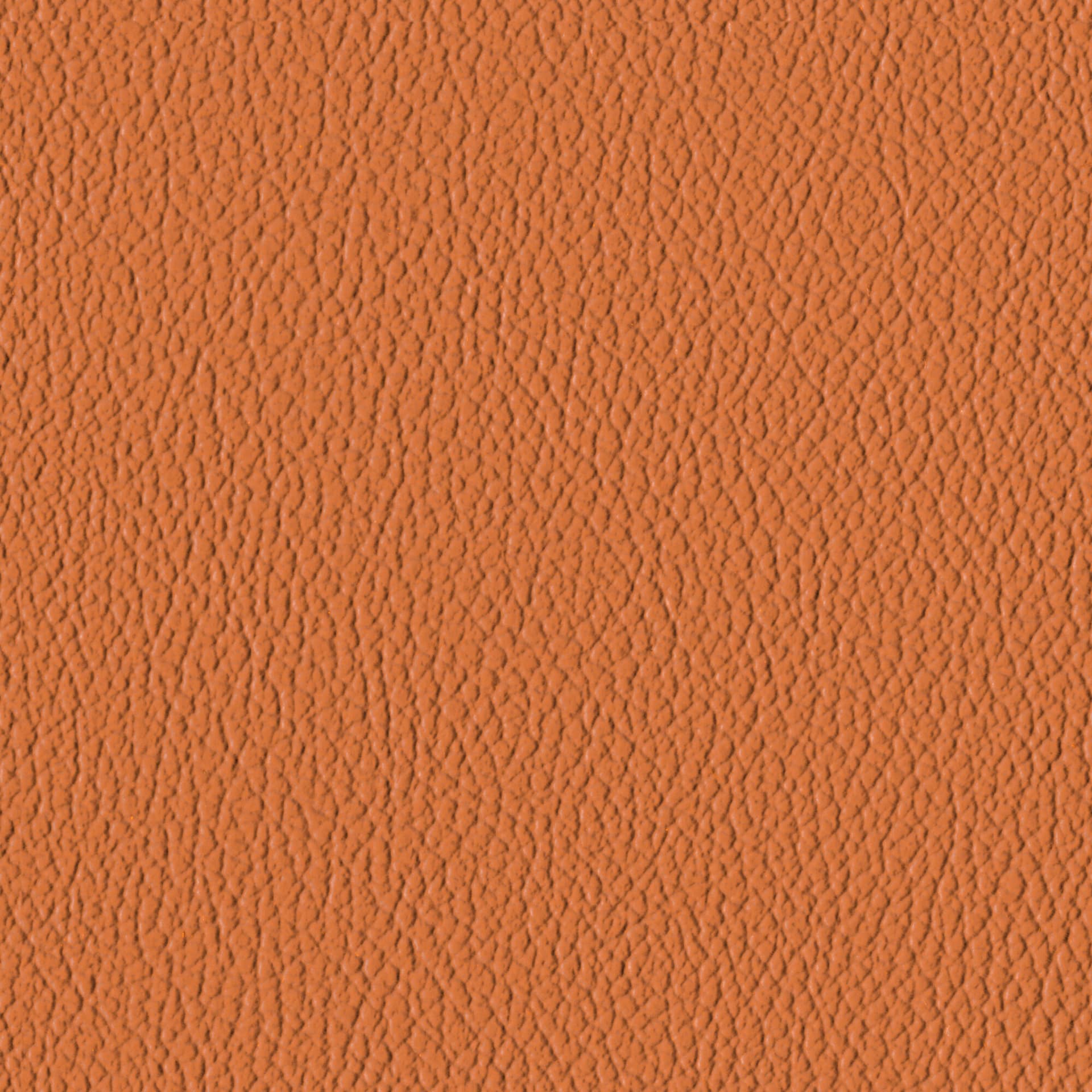 Nutmeg
