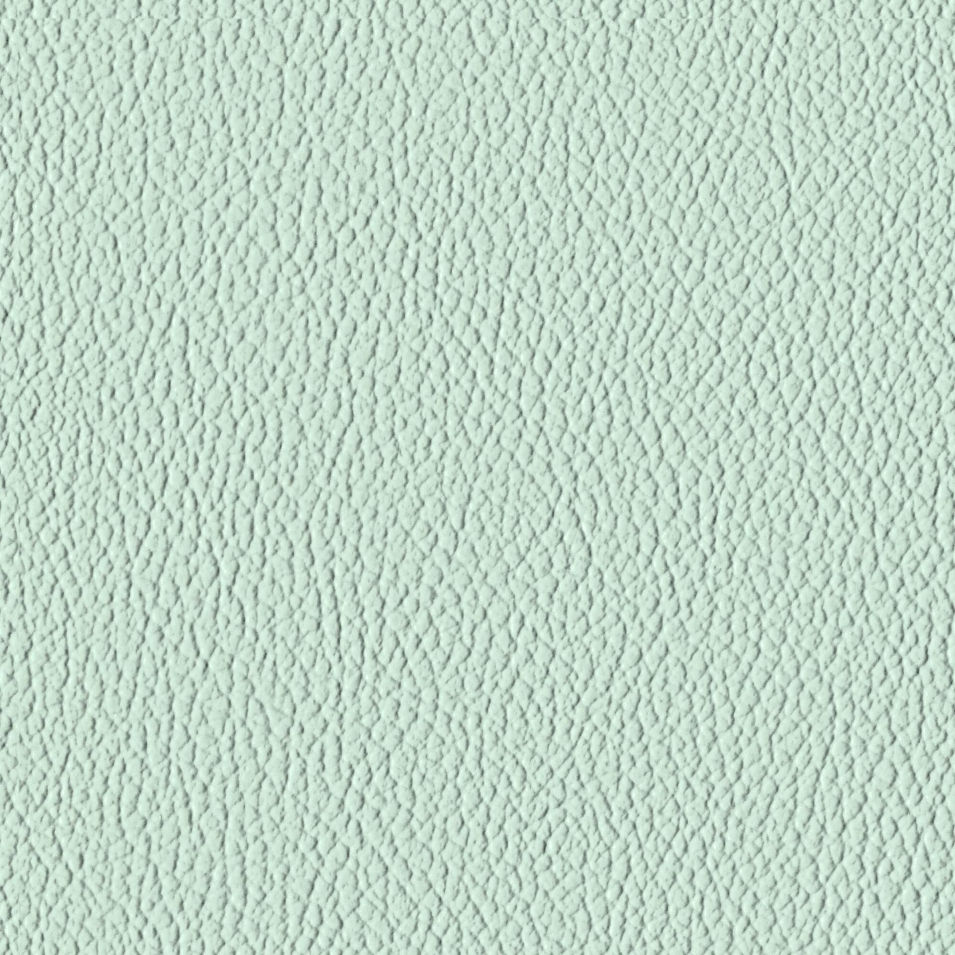 Pale Aqua