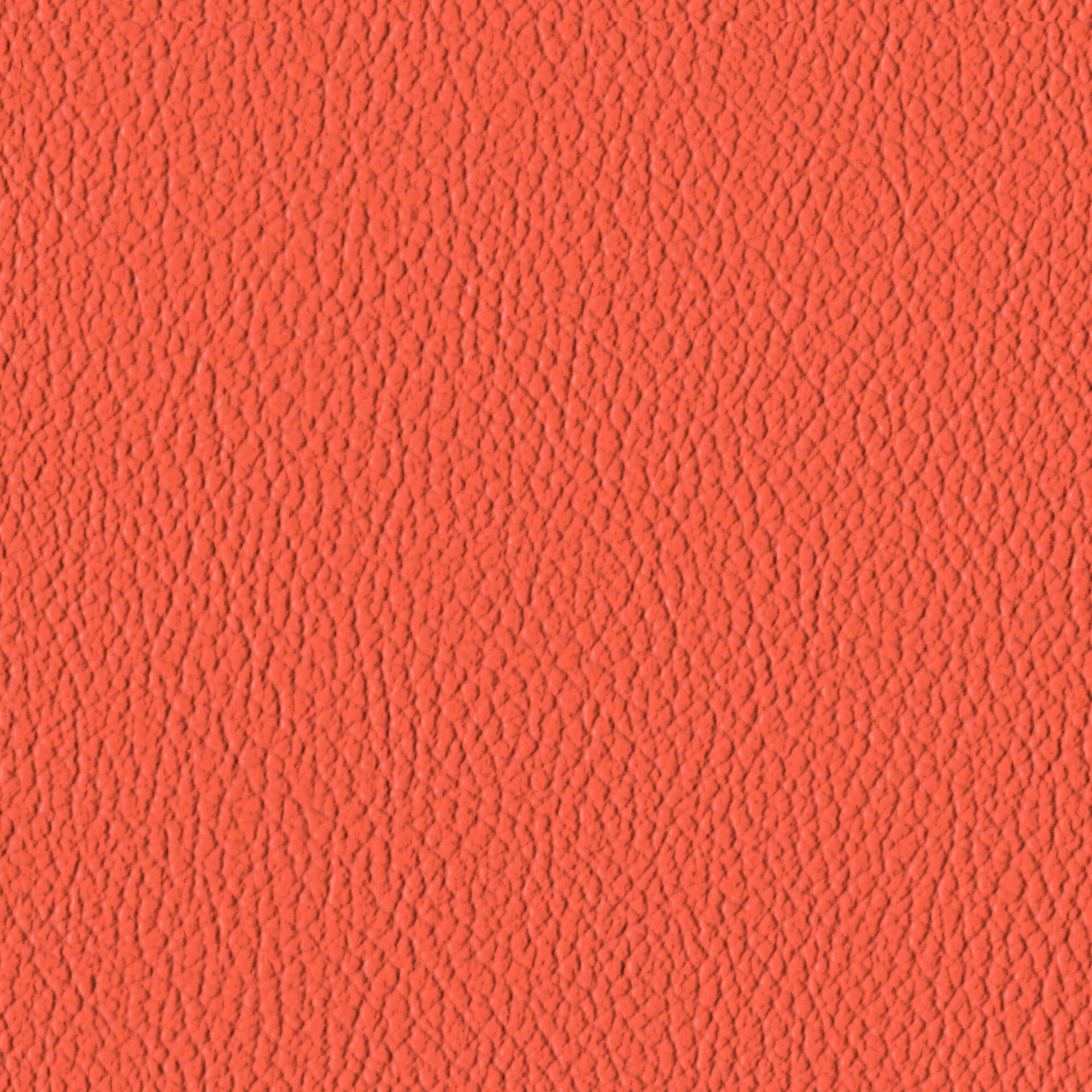 Persimmon