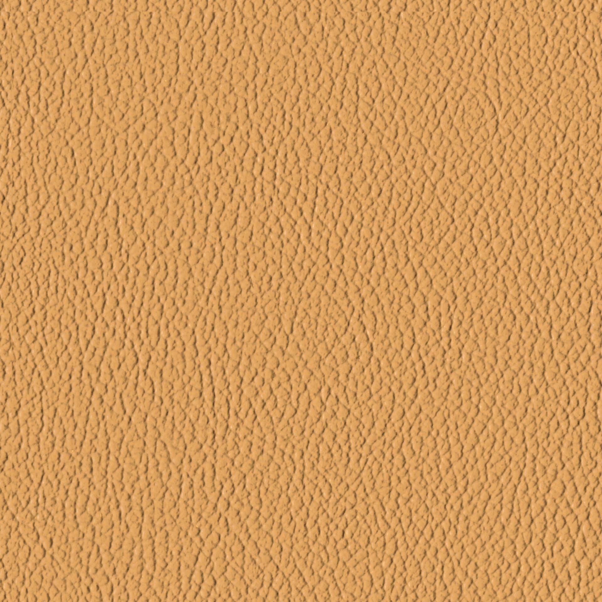 River Clay