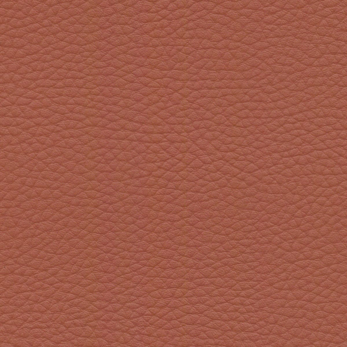 Cayenne