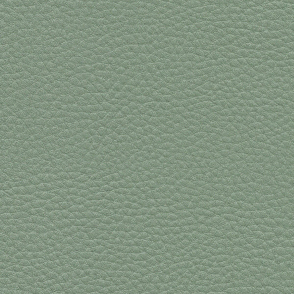 Celadon