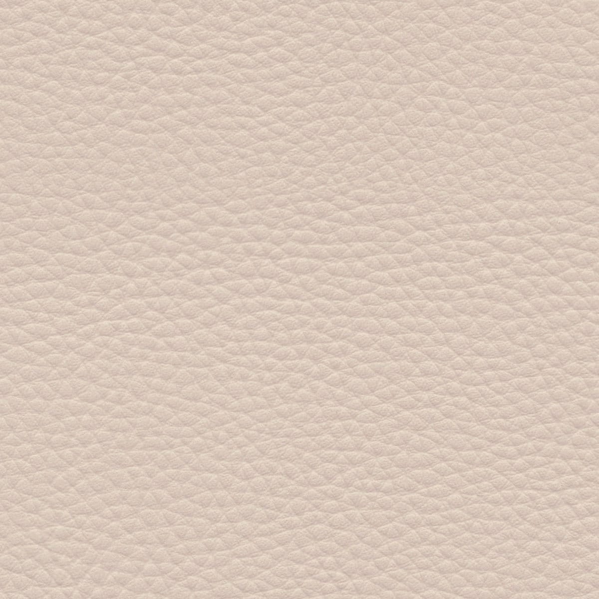 Parchment