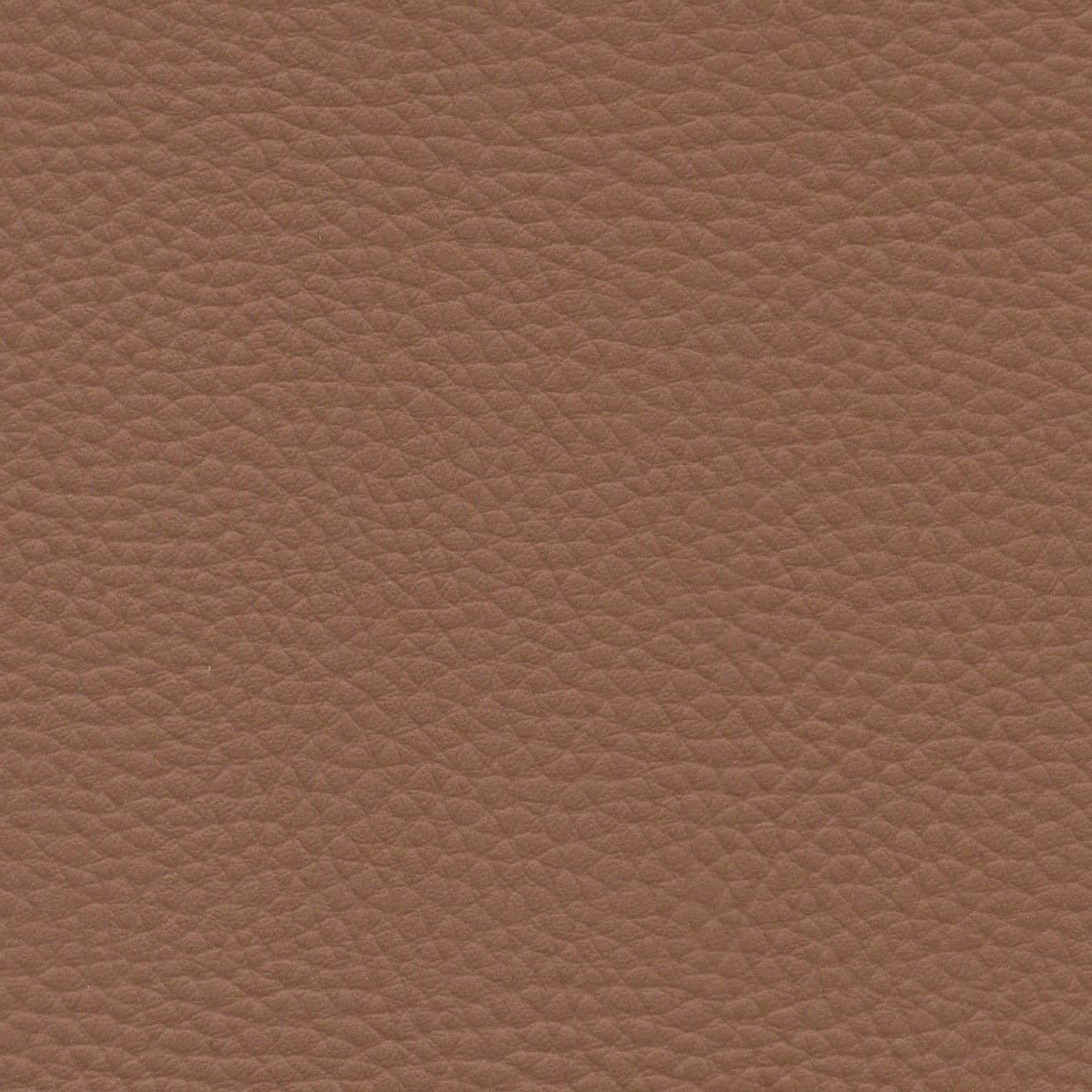 Saddle