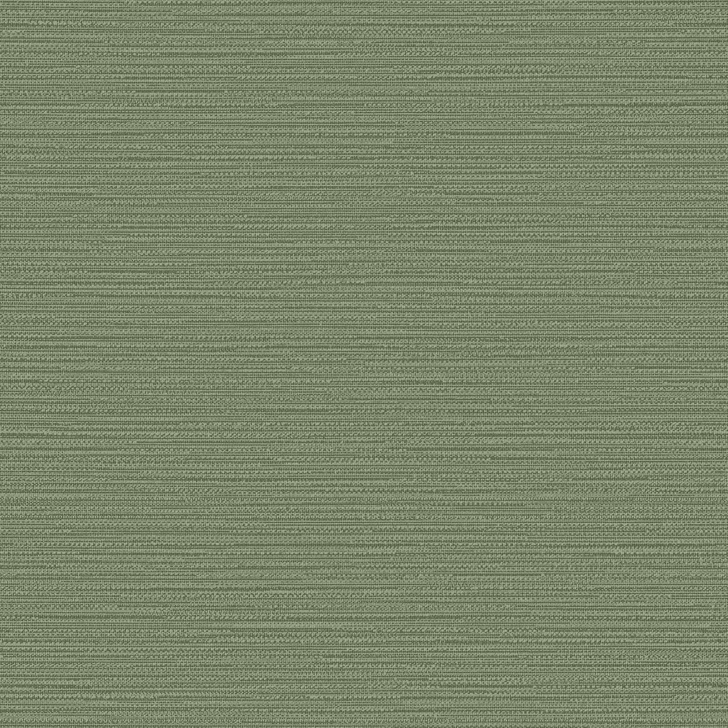 Fern
