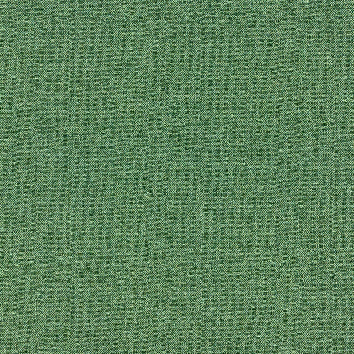 Shamrock