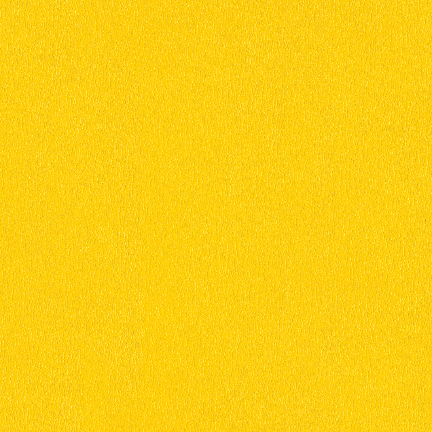 Zest