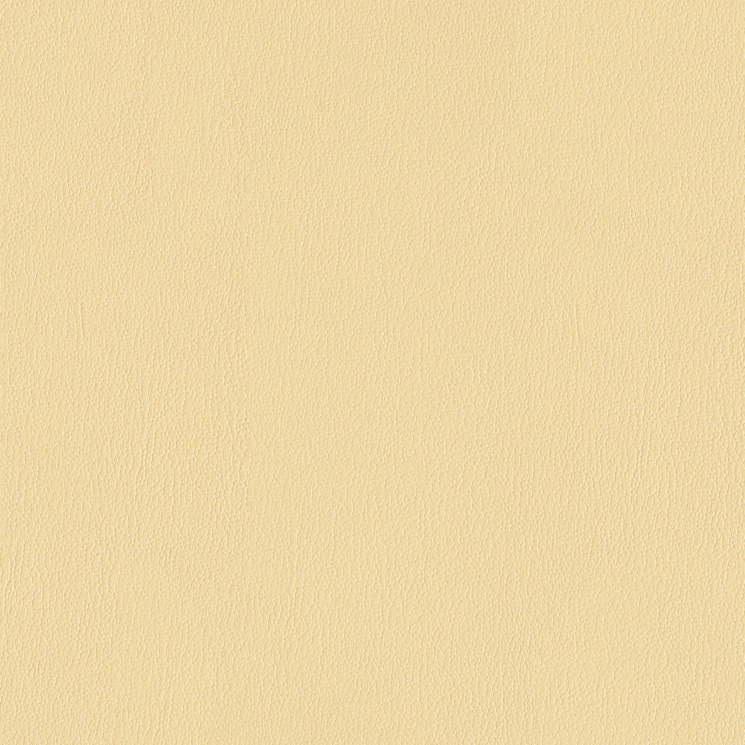 Cornsilk