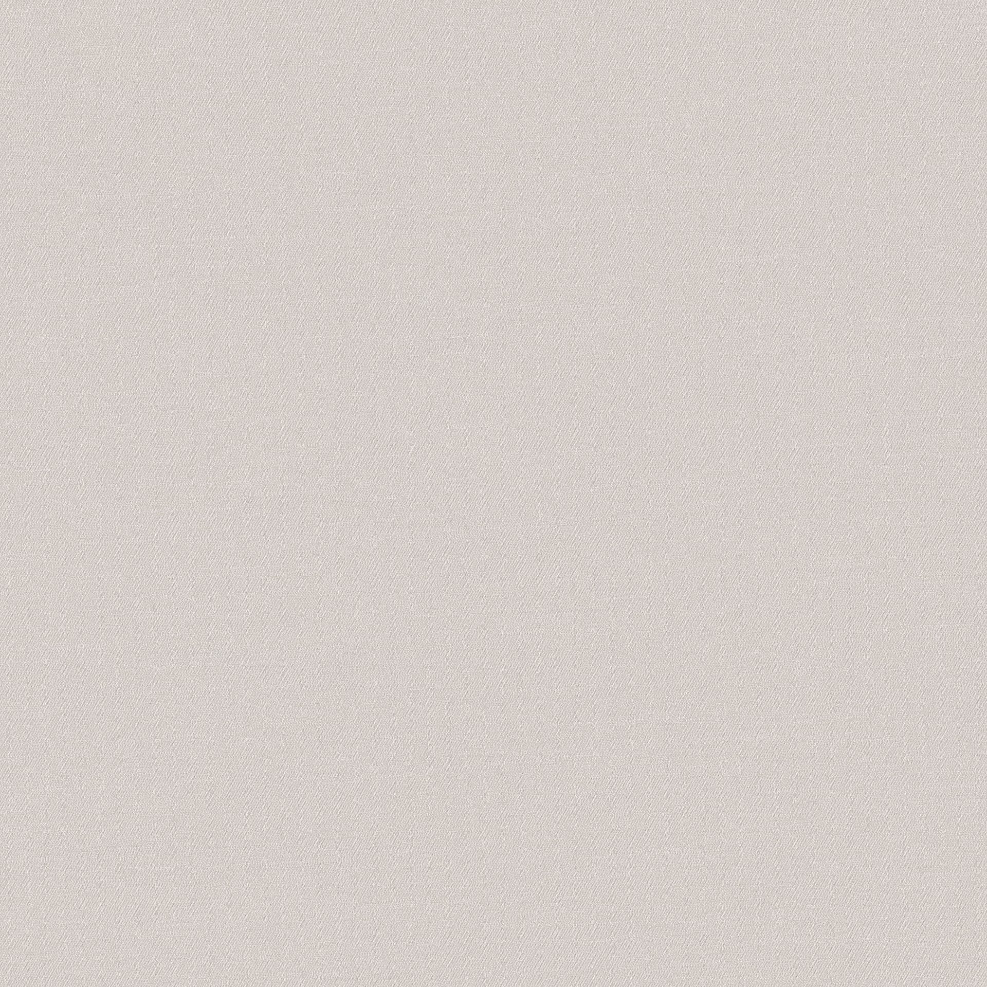 Foggy Morning